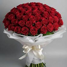 Букет 101 Красная роза Блэк Мэджик в Суре