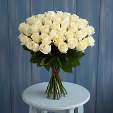 Букет 51 Белая роза Эдлесс Лав в Суре