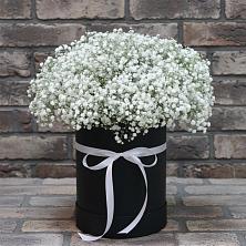 Цветочная композиция из Гипсофила в шляпной коробке в Суре