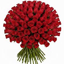 Букет Красные розы Чери Лав в Суре