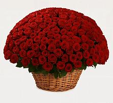 Премиум букет из: Розы в Суре